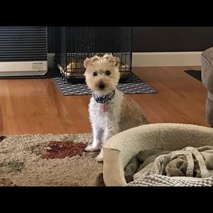 Meet your Posher, Jeanne